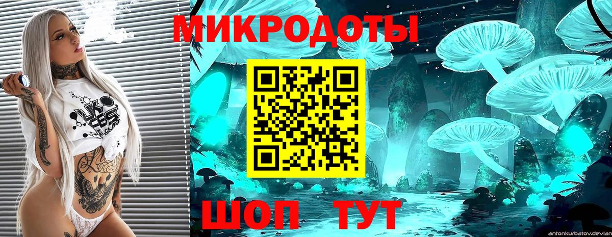Псилоцибиновые грибы ЛСД Ефремов