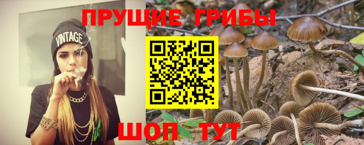 Бутират Ефремов