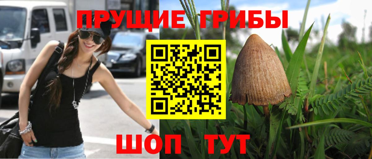 Ефремов  Псилоцибиновые грибы MAGIC MUSHROOMS  Псилоцибиновые грибы Cubensis  Вход с VPN 